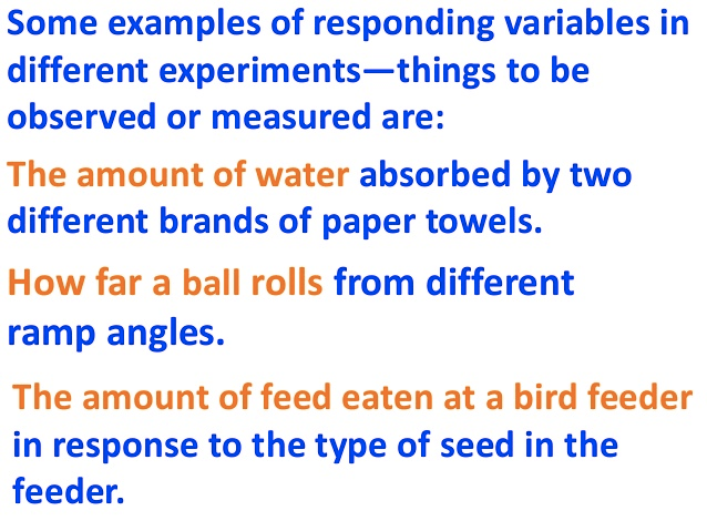 Some examples of responding variables in different
experiments—things to be observed or measured are: The amount of
water absorbed by two different brands of paper towels. How far a ball
rolls from different ramp angles. The amount of feed eaten at a bird
feeder in response to the type of seed in the feeder.
