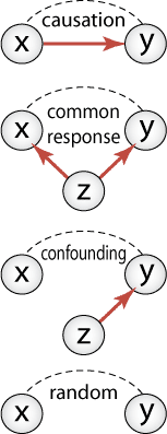causation x common x response z confounding x z random x
